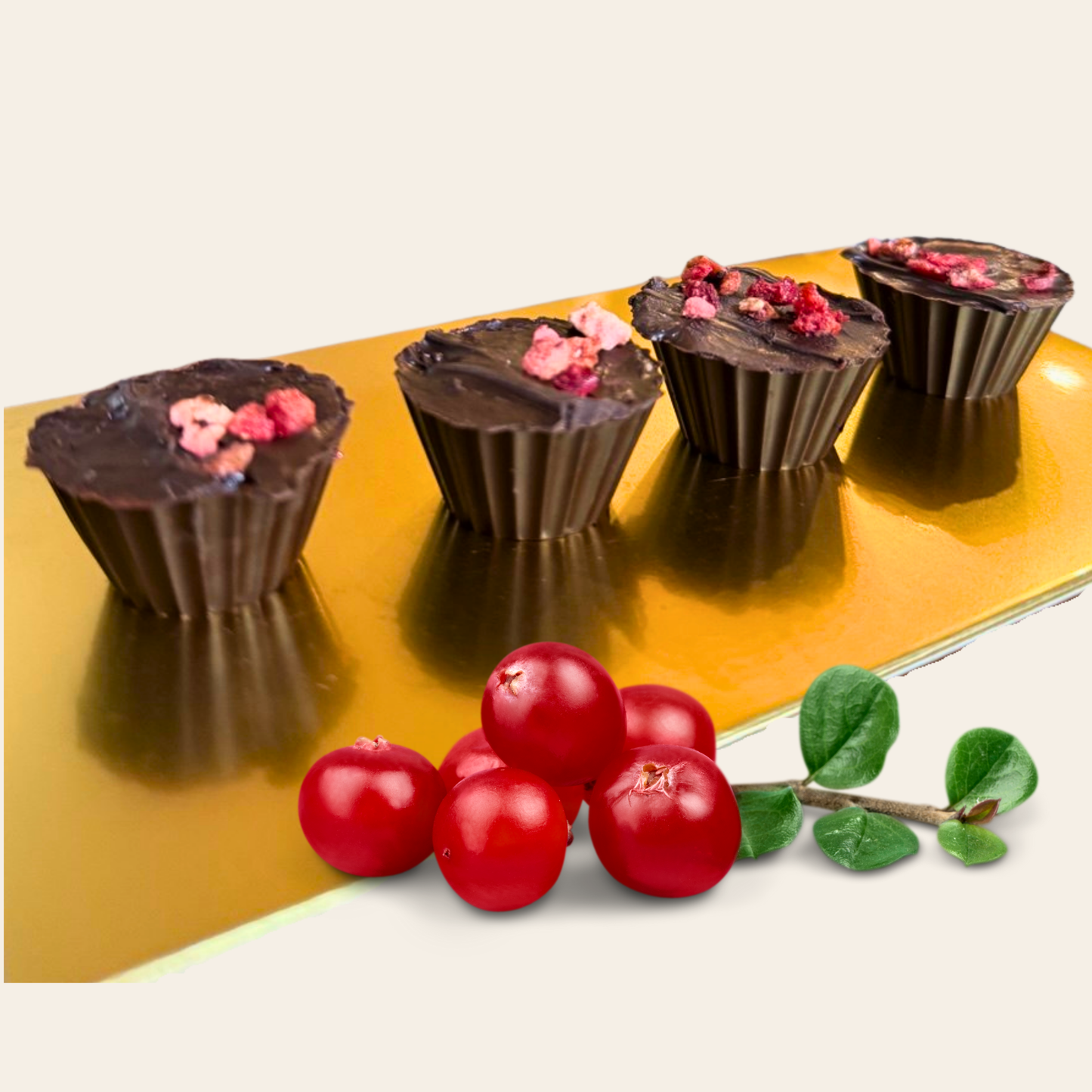 Dark Chocolate Cranberry Truffles – 8, 9 & 20-Piece Boxes